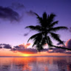 Meet your Posher, Incipiet maiestas